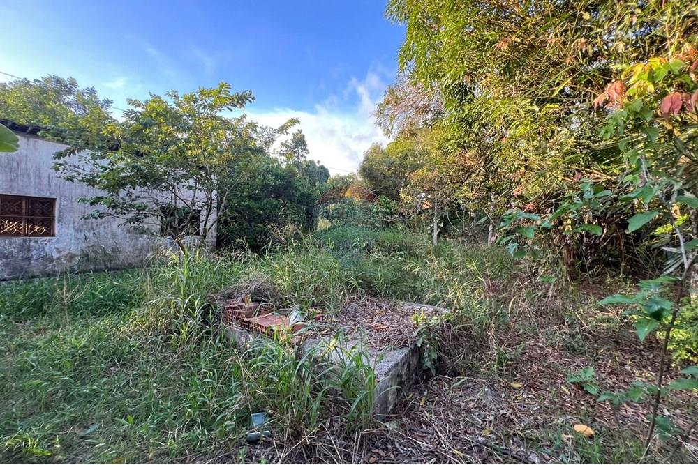 Chácara / Sítio / Fazenda - Venda - Maceió , Alagoas - e5ba1ca1-db66-4f62-8f18-3cfeb365fac4.jpg - 850271213-2