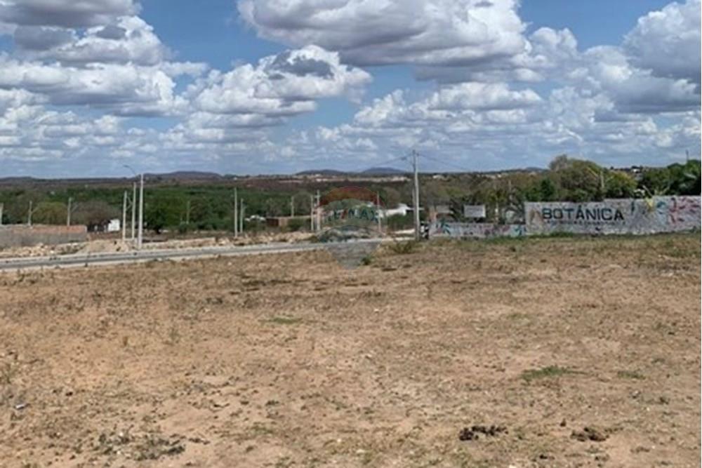 Terreno - Venda - Delmiro Gouveia , Alagoas - WhatsApp Image 2025-06-20 at 11.59.21.jpeg - 850491055-15