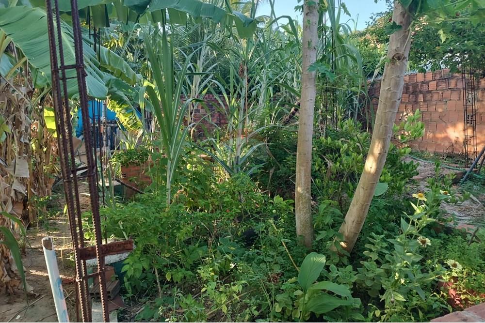 Terreno - Venda - Maceió , Alagoas - TERRENO JOAO 9.jpg - 850141002-98