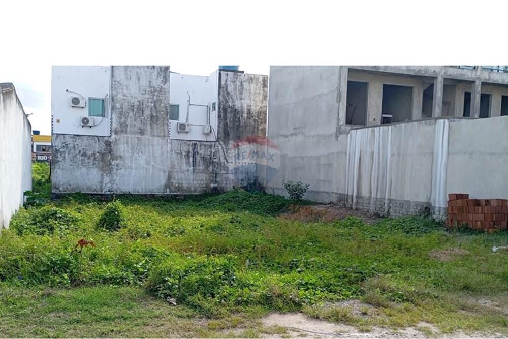 Terreno - Venda - Tamandaré , Pernambuco - WhatsApp Image 2025-09-11 at 15.22.24.jpeg - 850221044-4