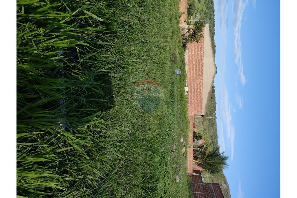 Terreno - Venda - Bonito , Pernambuco - WhatsApp Image 2025-03-10 at 08.43.29 (1).jpeg - 850051012-96