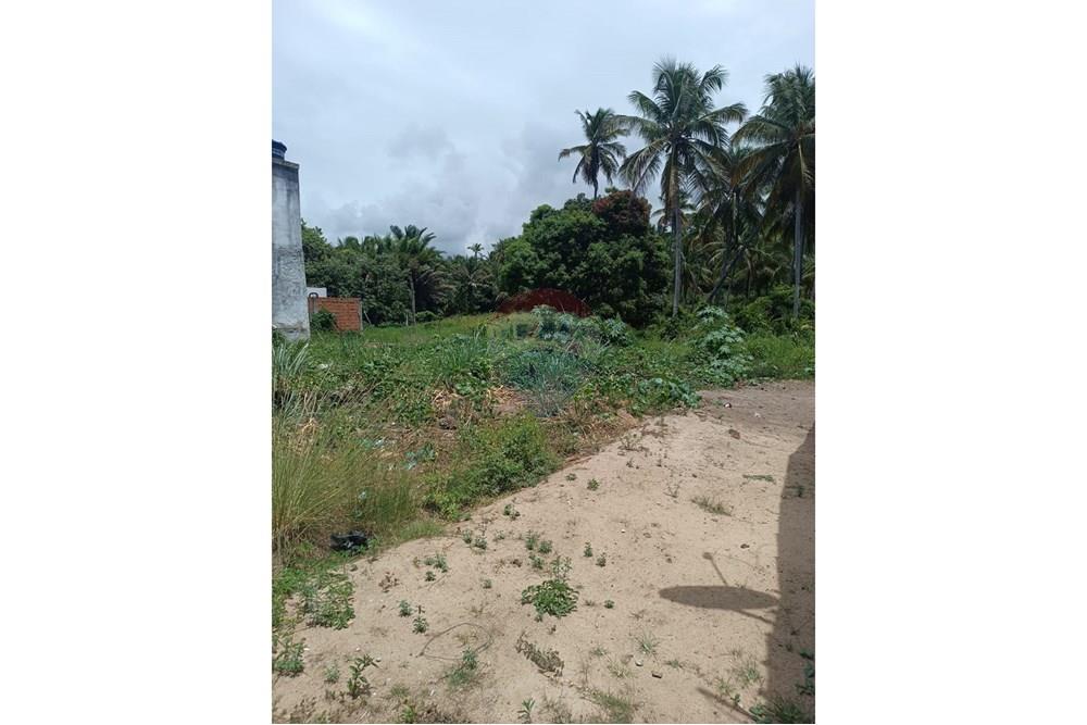 Terreno - Venda - Porto de Pedras , Alagoas - TERRENO LINDA 15.jpg - 850141002-102