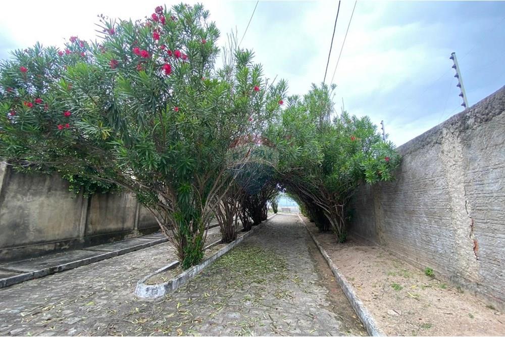 Terreno - Venda - Paripueira , Alagoas - IMG-20250815-WA0121.jpg - 850271152-50