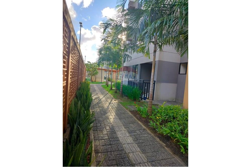 Apartamento - Venda - Recife , Pernambuco - Imagem do WhatsApp de 2025-08-18 à(s) 21.22.25_a4196ef5.jpg - 850191024-481