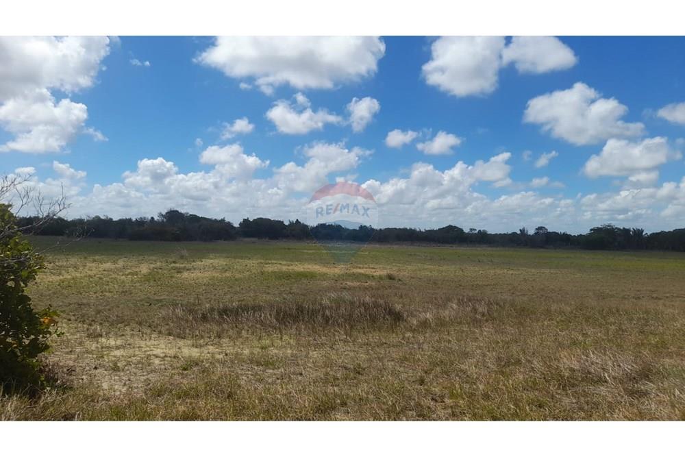 Chácara / Sítio / Fazenda - Venda - Piaçabuçu , Alagoas - Imagem do WhatsApp de 2025-02-21 à(s) 13.33.01_efe83fa7.jpg - Jardim Externo - 850271205-15