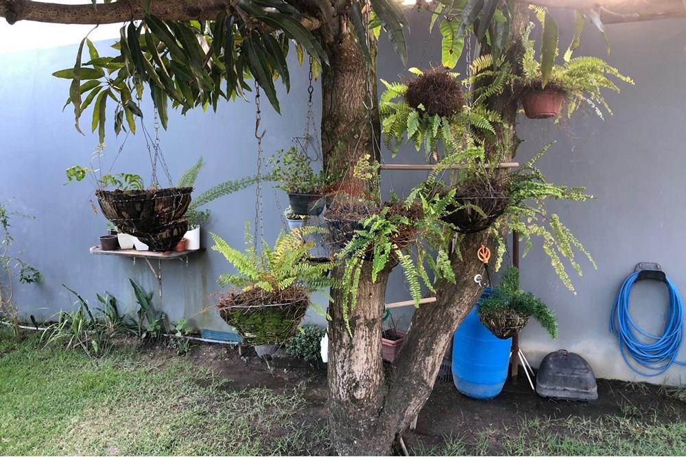 Casa - Venda - Ipojuca , Pernambuco - b261eddc-c752-4796-bbbe-76b79af61fdc.jpeg - 850091085-11