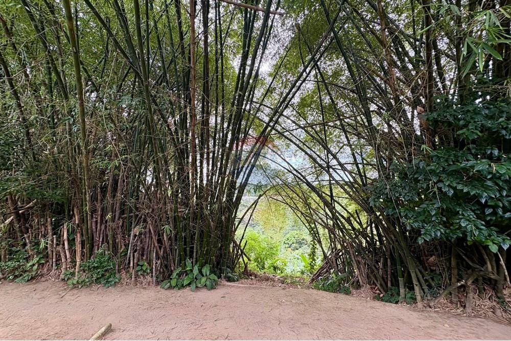 Casa - Venda - Recife , Pernambuco - IMG_6185.jpeg - 850091088-2