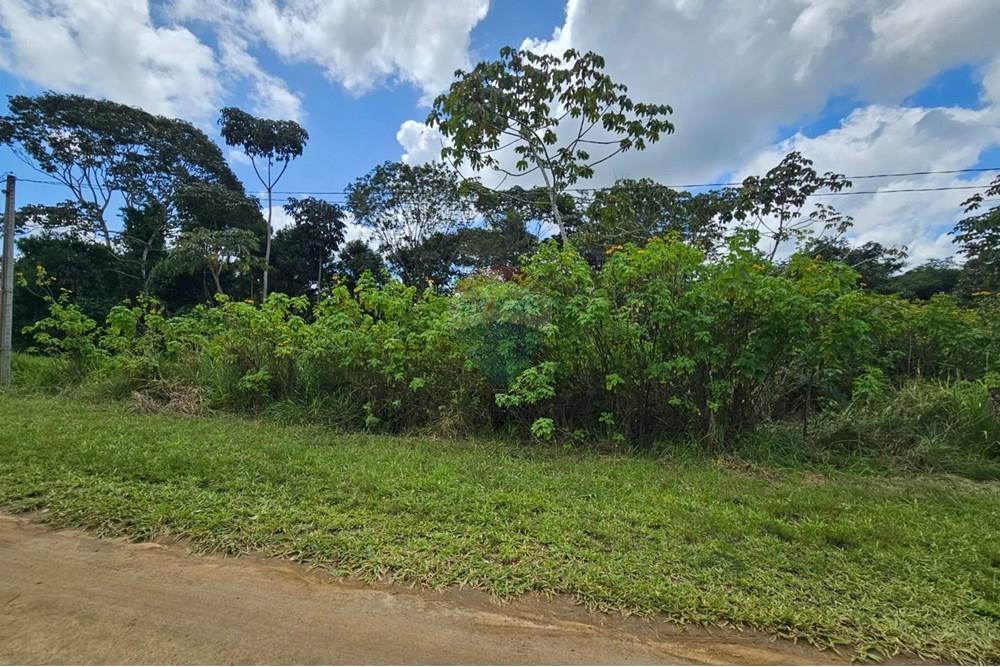 Terreno - Venda - Paudalho , Pernambuco - WhatsApp Image 2025-09-04 at 14.10.58 (1).jpeg - 850471016-73