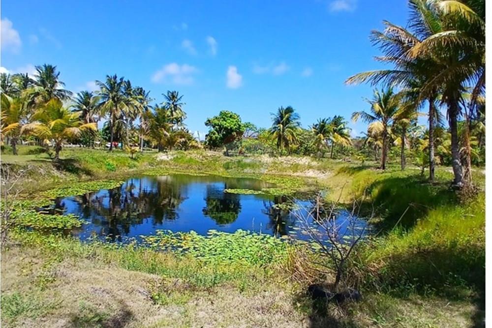 Chácara / Sítio / Fazenda - Venda - Piaçabuçu , Alagoas - IMG-20250221-WA0126.jpg - 850271205-15