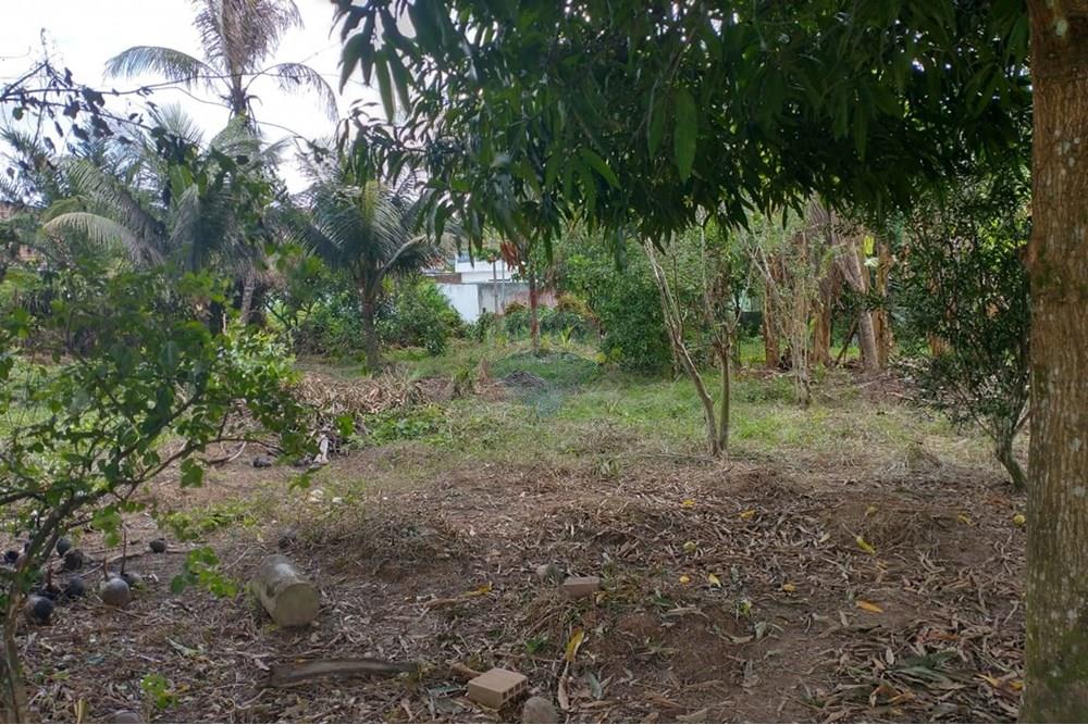 Terreno - Venda - Cabo de Santo Agostinho , Pernambuco - IMG-20250128-WA0038.jpg - 850281015-117