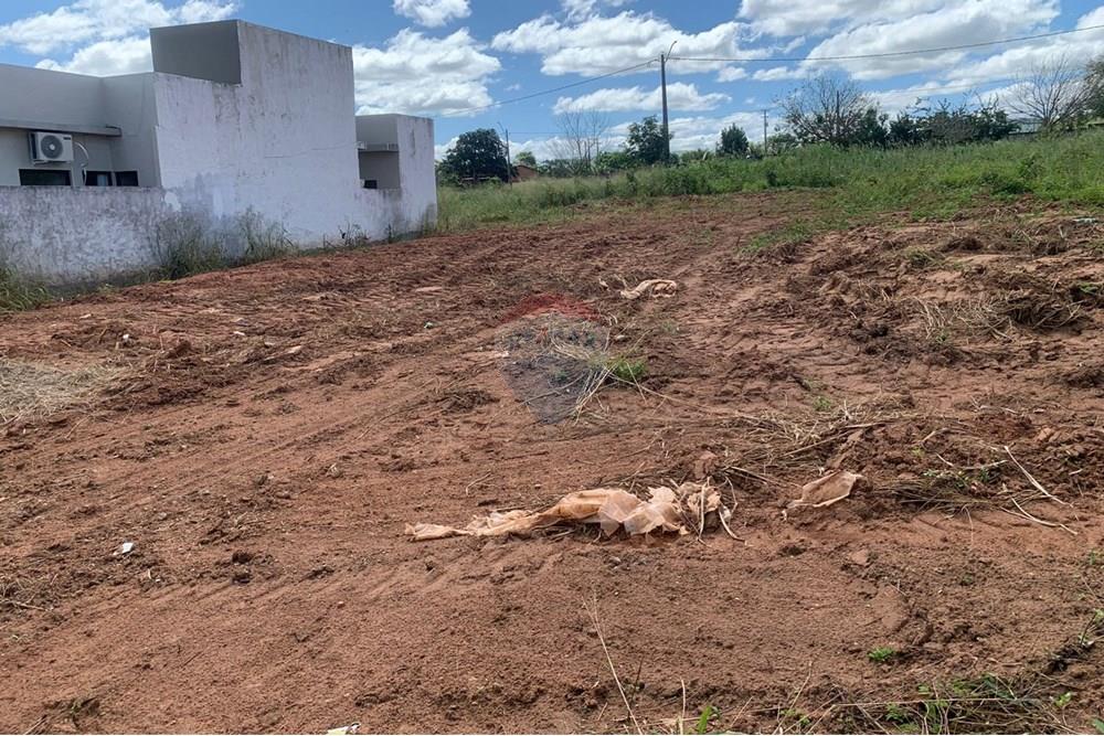 Terreno - Venda - Palmeira dos Índios , Alagoas - 962ff7a7-5ac8-40fd-89cd-cdef9d3f1a32.jpg - 850271243-2