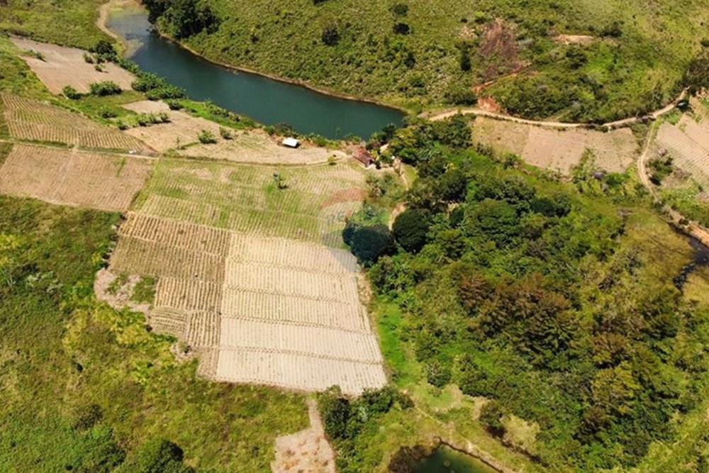 Chácara / Sítio / Fazenda - Venda - Bonito , Pernambuco - WhatsApp Image 2024-12-05 at 15.53.59 (4).jpeg - 850051012-116