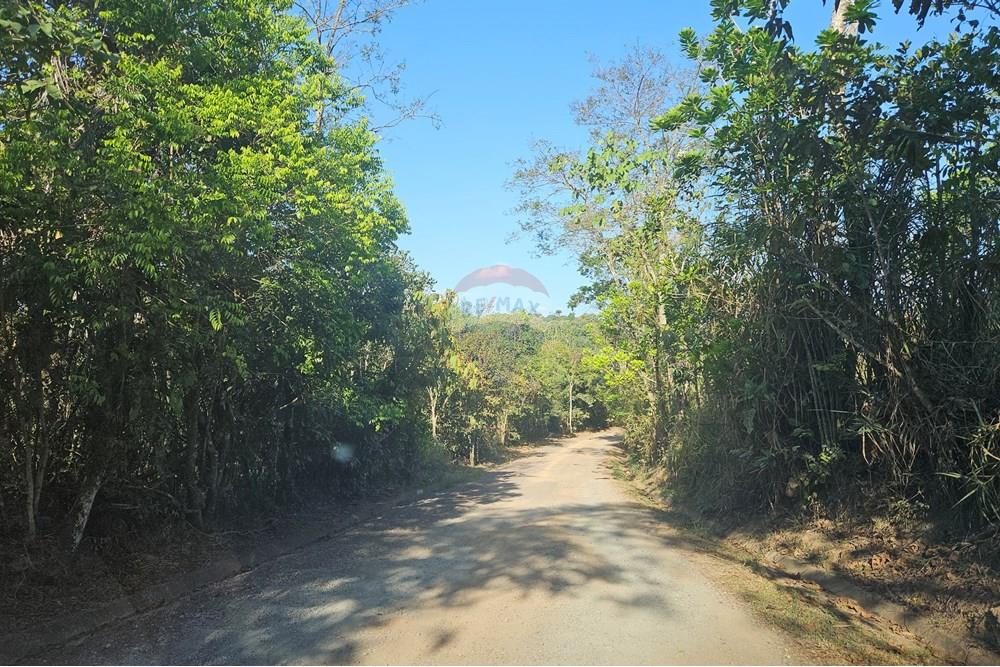 Terreno - Venda - Paudalho , Pernambuco - 20241024_150118.jpg - 850471016-73