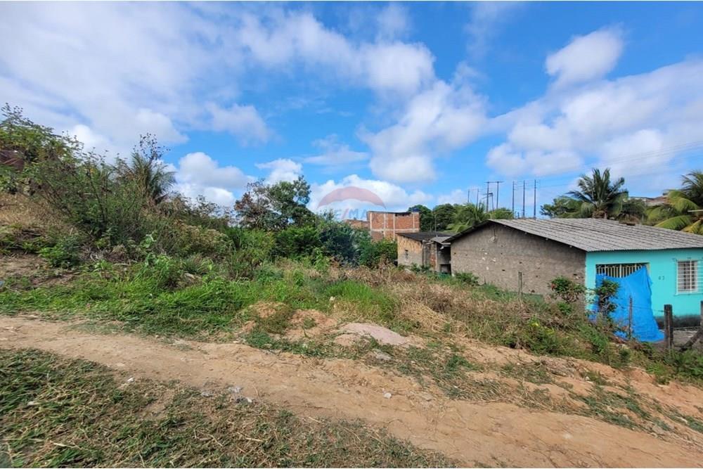 Terreno - Venda - Cabo de Santo Agostinho , Pernambuco - WhatsApp Image 2024-11-05 at 13.10.01 (1).jpeg - 850281001-5