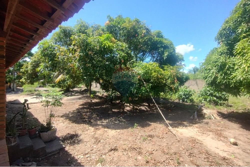 Chácara / Sítio / Fazenda - Venda - Marechal Deodoro , Alagoas - WhatsApp Image 2025-02-23 at 21.31.04 (1).jpeg - 850271006-269