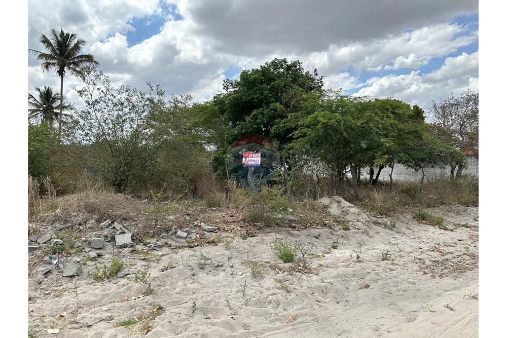 Terreno - Venda - Lajedo , Pernambuco - WhatsApp Image 2024-12-03 at 15.52.46 (9).jpeg - 850131003-358