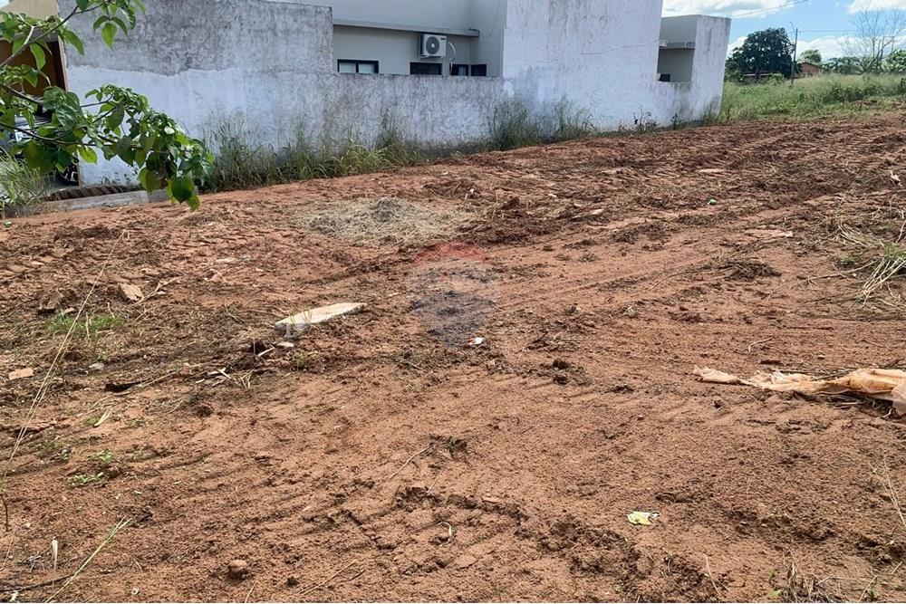 Terreno - Venda - Palmeira dos Índios , Alagoas - 530b58cc-5ab3-4dbf-9ce8-8fa4b5a7d94d.jpg - 850271243-2