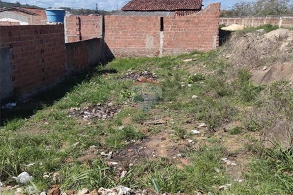 Terreno - Venda - Bonito , Pernambuco - Imagem do WhatsApp de 2025-02-18 à(s) 14.01.24_f374ad0f.jpg - 850051012-93