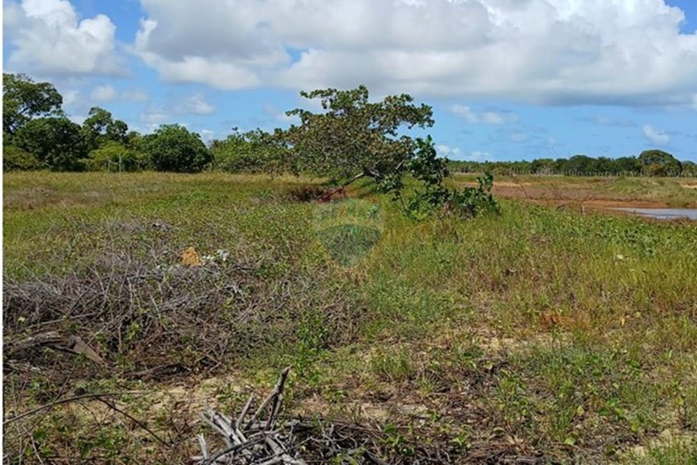 Chácara / Sítio / Fazenda - Venda - Piaçabuçu , Alagoas - IMG-20250221-WA0107.jpg - 850271205-15