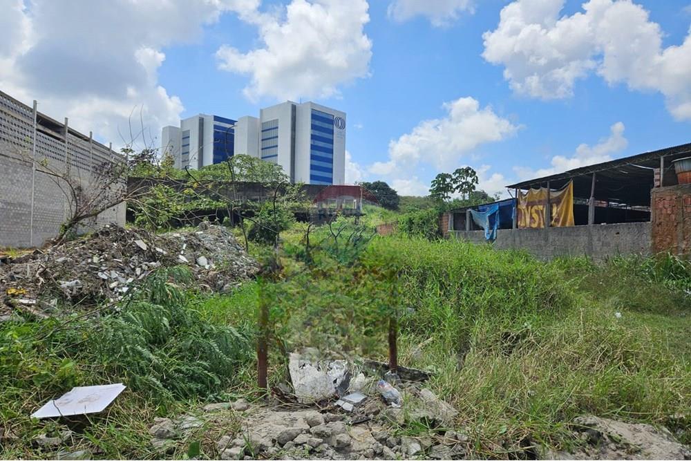 Terreno - Venda - Cabo de Santo Agostinho , Pernambuco - WhatsApp Image 2025-09-26 at 09.41.16.jpeg - 850281003-1333