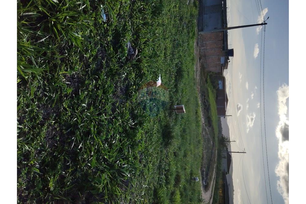 Terreno - Venda - Bonito , Pernambuco - WhatsApp Image 2025-03-10 at 08.43.29.jpeg - 850051012-96
