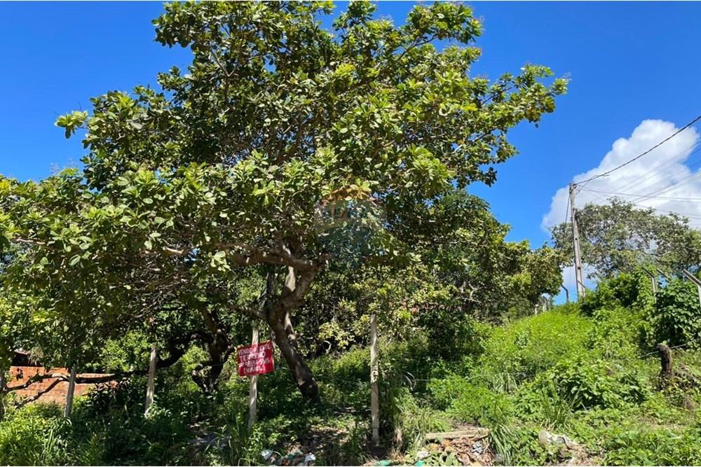 Terreno - Venda - Maceió , Alagoas - IMG-20250707-WA0012.jpg - 850711016-38