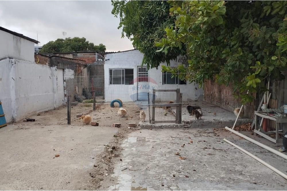 Casa - Venda - Recife , Pernambuco - WhatsApp Image 2025-01-07 at 08.54.36 (1).jpeg - 850071019-149