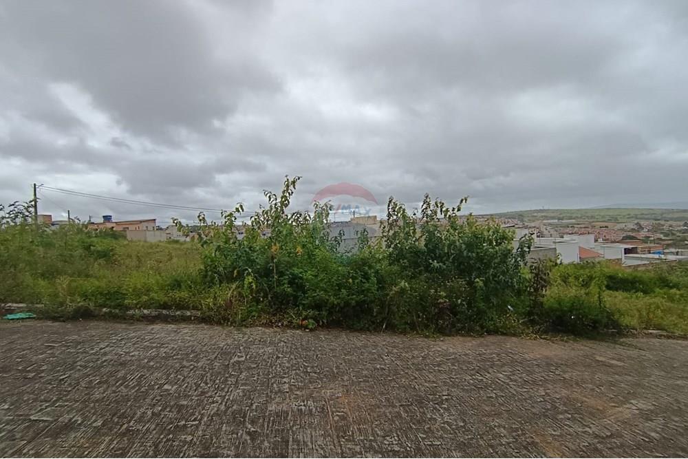 Terreno - Venda - Garanhuns , Pernambuco - WhatsApp Image 2025-10-14 at 10.45.37 (5).jpeg - 850741008-1