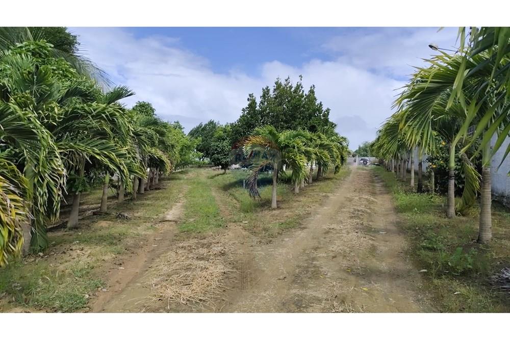 Casa de Campo - Venda - Paripueira , Alagoas - cc04.jpg - 850141043-103