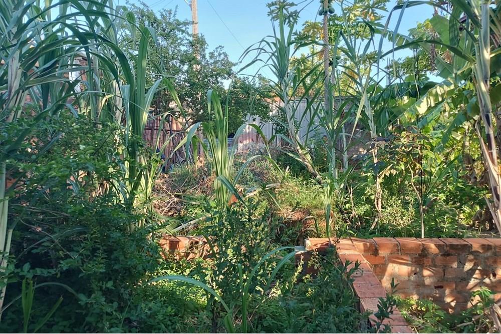 Terreno - Venda - Maceió , Alagoas - TERRENO JOAO 11.jpg - 850141002-98