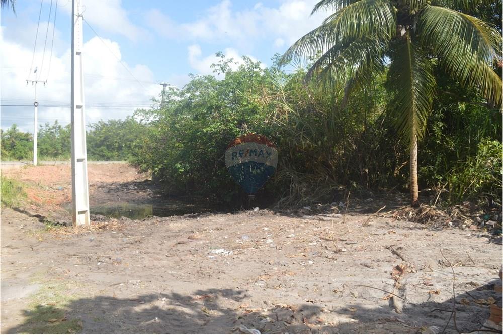 Terreno - Venda - Maragogi , Alagoas - WhatsApp Image 2025-10-19 at 9.01.34 AM.jpeg - 850291008-53