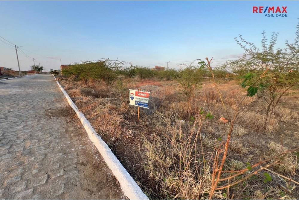 Terreno - Venda - Santa Cruz do Capibaribe , Pernambuco - Imagem do WhatsApp de 2025-01-14 à(s) 08.59.08_623f83c0.jpg - 850781006-18