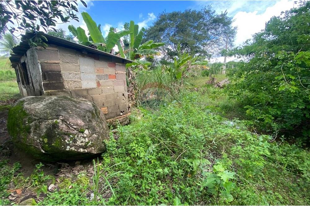 Chácara / Sítio / Fazenda - Venda - Boca da Mata , Alagoas - IMG-20250716-WA0067.jpg - 850641022-68