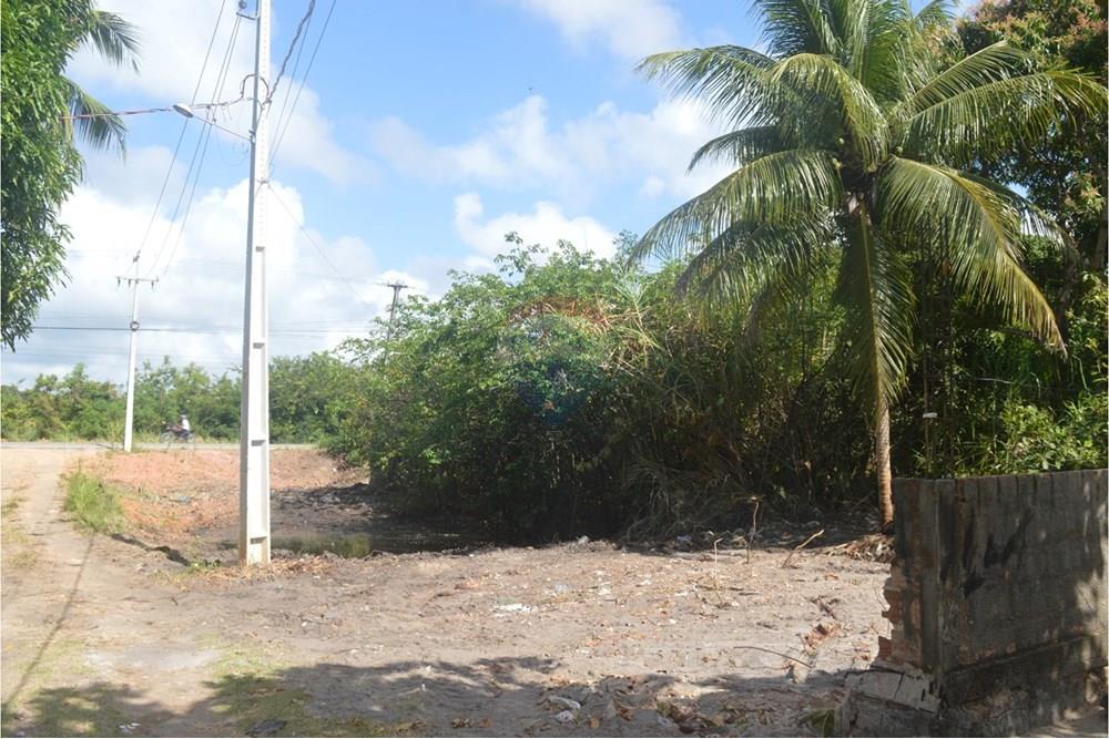 Terreno - Venda - Maragogi , Alagoas - WhatsApp Image 2025-10-19 at 9.01.33 AM (1).jpeg - 850291008-53
