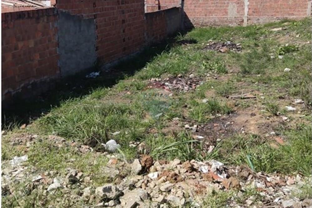 Terreno - Venda - Bonito , Pernambuco - Imagem do WhatsApp de 2025-02-18 à(s) 14.01.24_5afa9815.jpg - 850051012-93