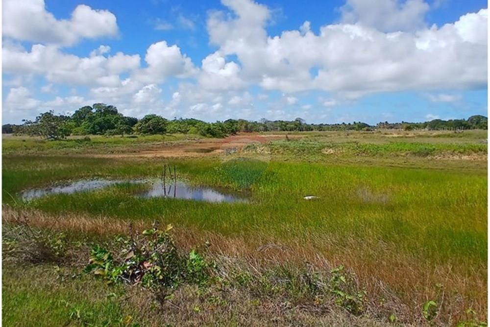 Chácara / Sítio / Fazenda - Venda - Piaçabuçu , Alagoas - IMG-20250221-WA0099.jpg - 850271205-15