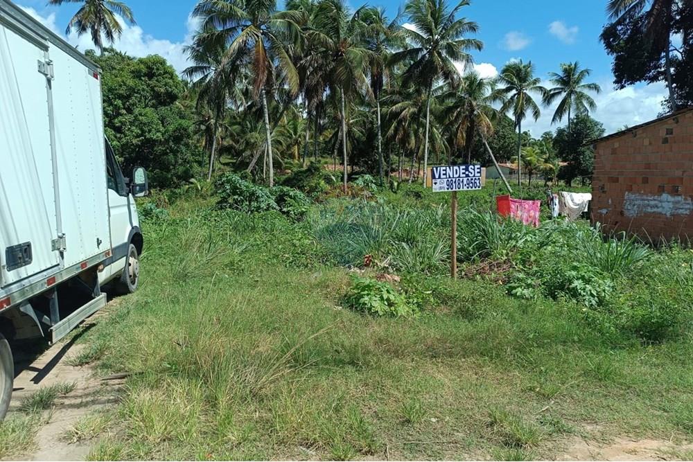 Terreno - Venda - Porto de Pedras , Alagoas - TERRENO LINDA 39.jpg - 850141002-102