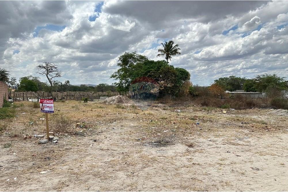 Terreno - Venda - Lajedo , Pernambuco - WhatsApp Image 2024-12-03 at 21.38.24 (1).jpeg - 850131003-361