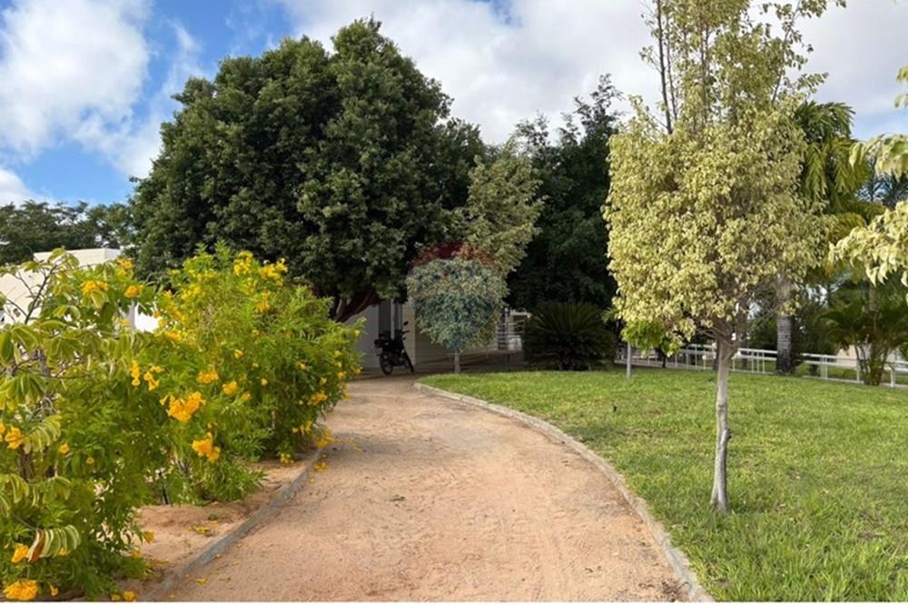 Terreno - Venda - Petrolina , Pernambuco - Fotos do jardim do condominio Campos do Conde 3.jpg - 850611008-66