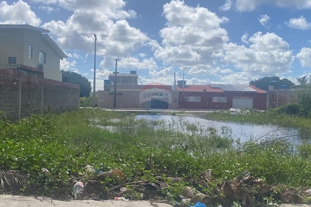 Terreno - Venda - Ipojuca , Pernambuco - WhatsApp Image 2025-06-02 at 11.25.00 (1).jpeg - 850221002-486