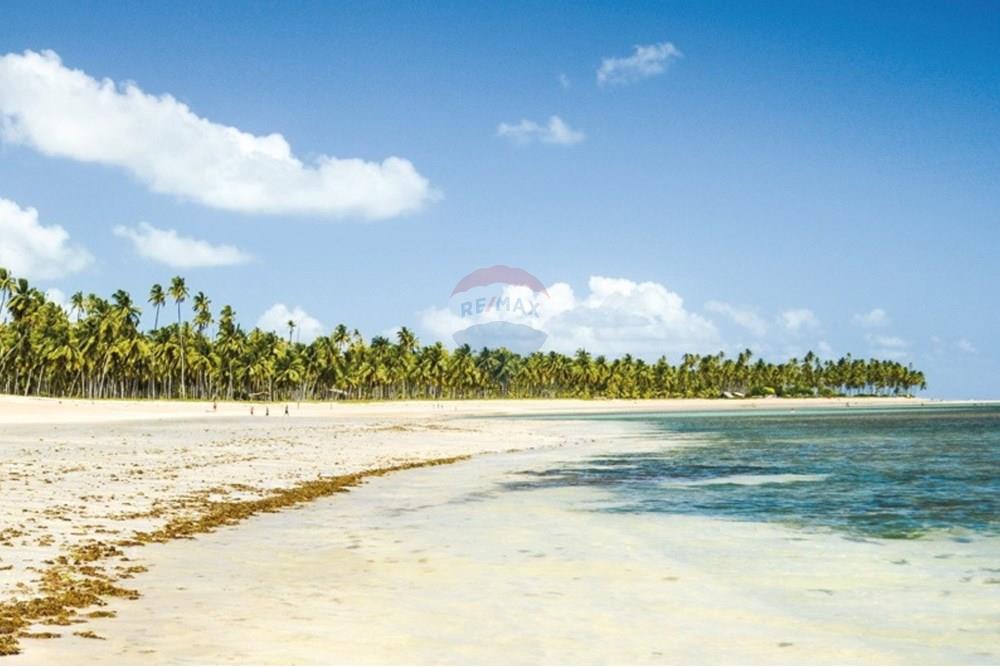 Terreno - Venda - Passo de Camaragibe , Alagoas - 1.jpg - 850491042-53