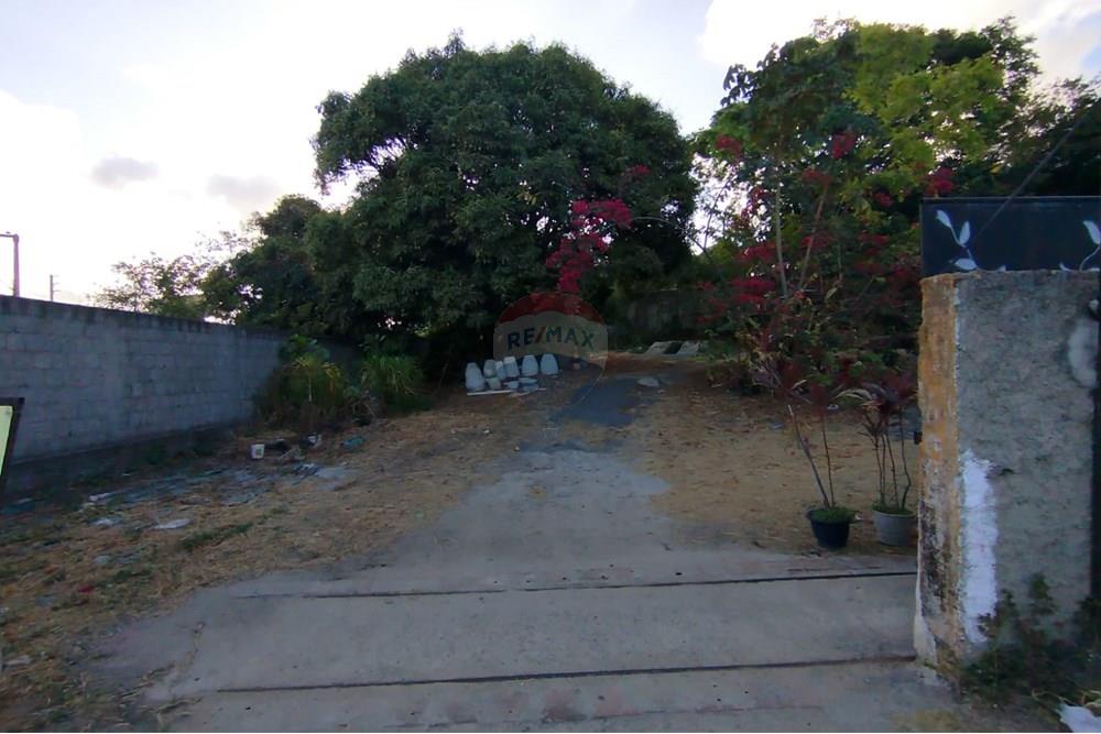 Terreno - Venda - Paulista , Pernambuco - WhatsApp Image 2024-11-30 at 16.35.18.jpeg - 850721002-53