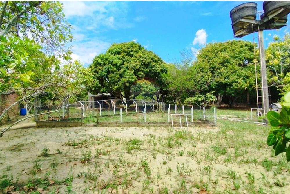 Chácara / Sítio / Fazenda - Venda - Igarassu , Pernambuco - WhatsApp Image 2025-01-23 at 15.12.40 (3).jpeg - 850071019-161