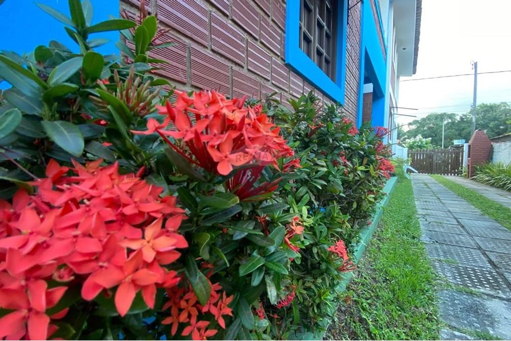 Casa - Venda - Ipojuca , Pernambuco - WhatsApp Image 2025-06-05 at 09.31.16 (1).jpeg - 850221002-490