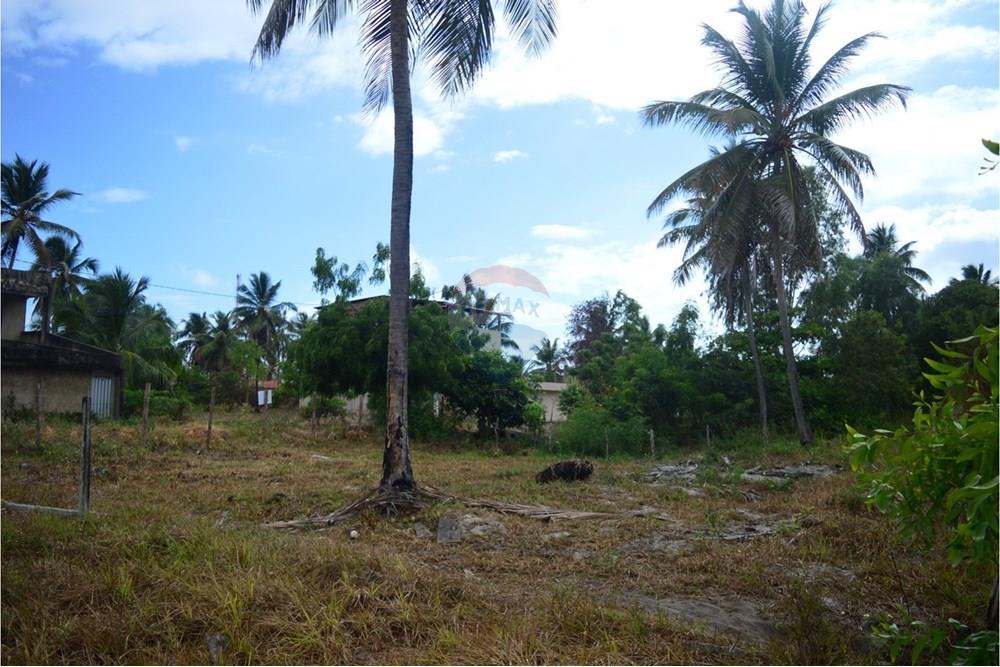 Terreno - Venda - Maragogi , Alagoas - 5e0b8375-058e-4b91-bf87-ba2cbdc8ca21.jpeg - 850291009-32
