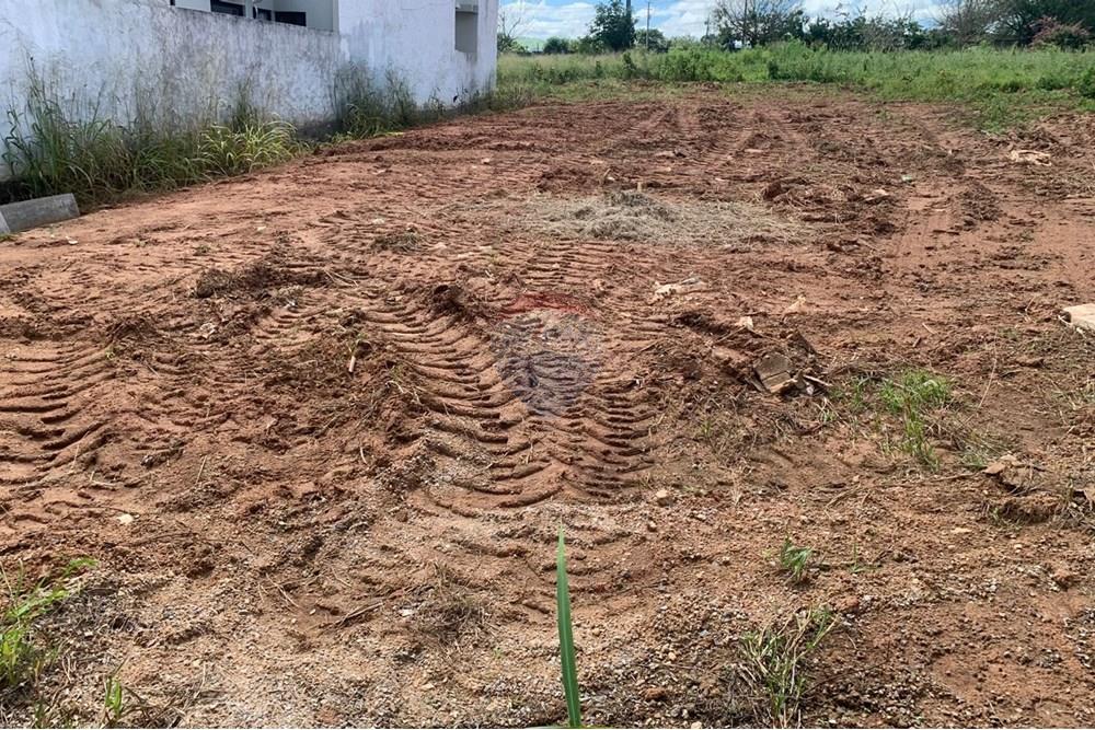 Terreno - Venda - Palmeira dos Índios , Alagoas - 20975fbd-d72a-4187-8d59-486b24641adf.jpg - 850271243-2