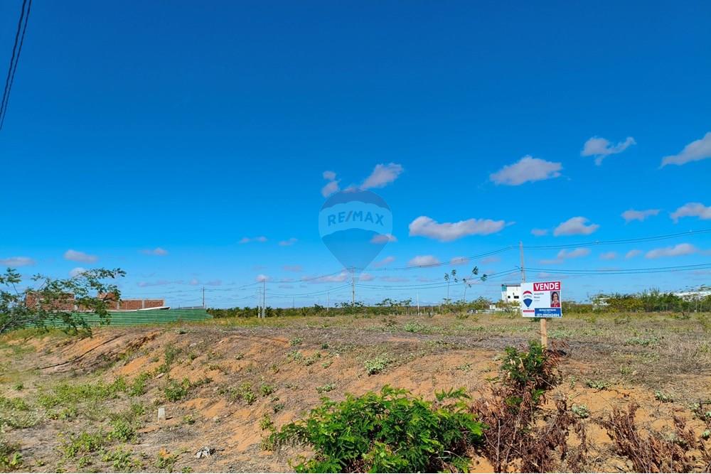 Terreno - Venda - Petrolina , Pernambuco - IMG_20250528_090122.jpg - 850611008-66