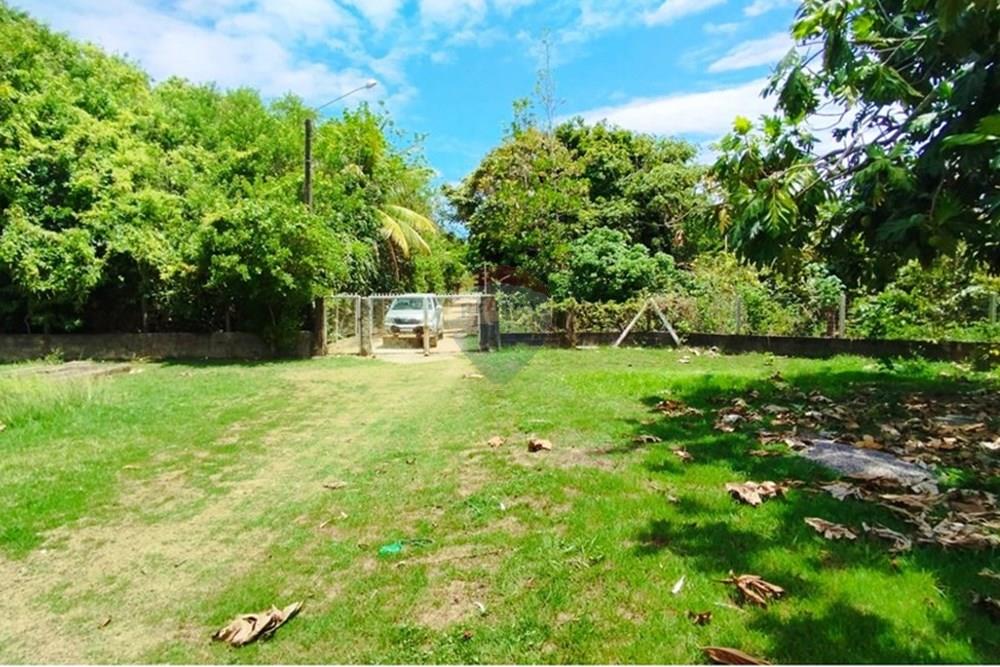 Chácara / Sítio / Fazenda - Venda - Igarassu , Pernambuco - WhatsApp Image 2025-01-23 at 15.12.02 (2).jpeg - 850071019-161