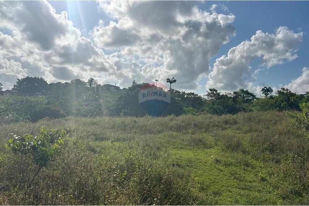 Terreno - Venda - Estância , Sergipe - WhatsApp Image 2025-10-16 at 11.17.58.jpeg - 850581263-3