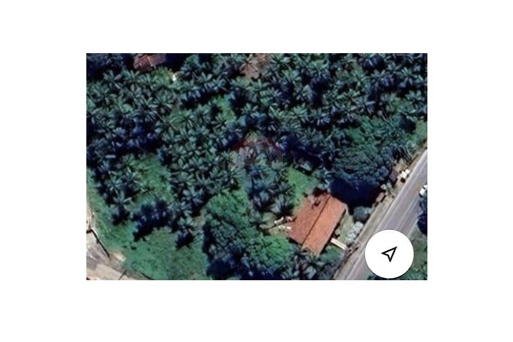 Chácara / Sítio / Fazenda - Venda - Maceió , Alagoas - IMG_3594.jpeg - 850711032-7